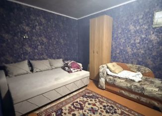 1-ком. квартира в аренду, 32 м2, Новомосковск, Парковая улица, 14А