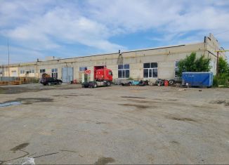 Продам помещение свободного назначения, 1800 м2, Курган, проспект Маршала Голикова, 29