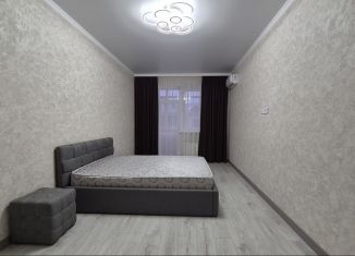 Сдача в аренду однокомнатной квартиры, 49.2 м2, Ессентуки, Никольская улица, 23/2