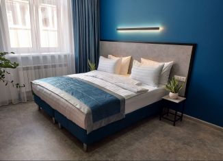 Сдам в аренду квартиру студию, 20 м2, Тула, улица Ленина, 9