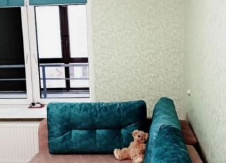 Сдается в аренду 1-комнатная квартира, 41.8 м2, Уфа, улица Энтузиастов, 13