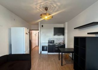 Сдам квартиру студию, 25 м2, Санкт-Петербург, Кондратьевский проспект, 64к9