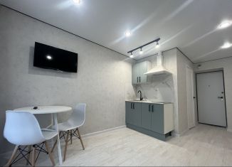 Продается квартира студия, 17.5 м2, Татарстан, улица Академика Кирпичникова, 23