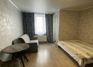 Сдаю в аренду квартиру студию, 25 м2, Республика Башкортостан, Кустарёвская набережная, 9