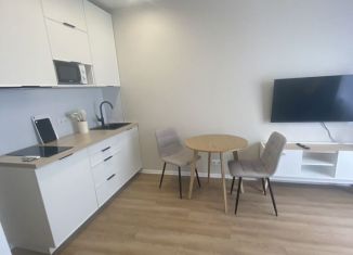 Аренда квартиры студии, 21 м2, Котельники, Новая улица, 3