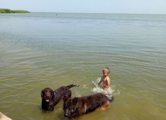 Сдам в аренду дом, 90 м2, Темрюк, улица Гагарина, 525