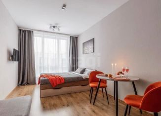 Продается квартира студия, 22.3 м2, посёлок Парголово, Толубеевский проезд, 8к2