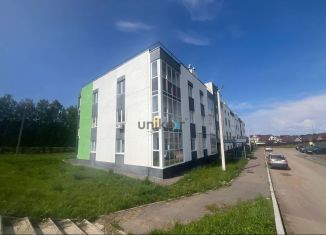 Продается двухкомнатная квартира, 60 м2, село Иглино, улица 450-летия, 1