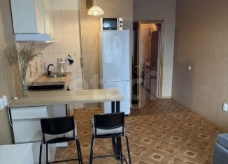 Квартира на продажу студия, 25.5 м2, посёлок Шушары, Первомайская улица, 5к1