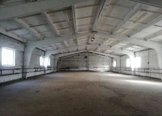 Сдам в аренду складское помещение, 375 м2, Пензенская область, Бийская улица, 3