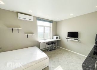 Квартира в аренду студия, 26.3 м2, Котельники, Сосновая улица, 1к2
