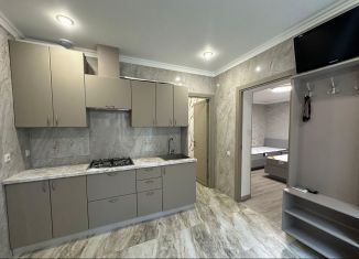 Сдача в аренду 2-ком. квартиры, 60 м2, Сочи, Виноградная улица, 96Б, микрорайон Новый Сочи