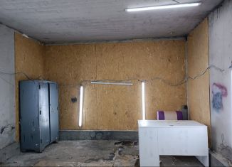Сдается в аренду гараж, 24 м2, Нижний Новгород, метро Парк Культуры
