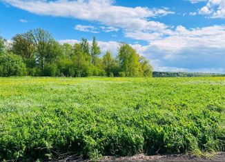 Продаю участок, 6.3 сот., деревня Загорье
