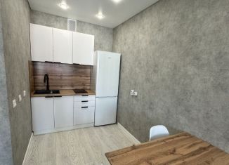 Сдается в аренду 2-ком. квартира, 38.7 м2, Республика Башкортостан, Кустарёвская набережная, 17