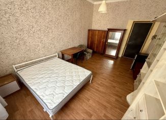 Сдается комната, 24 м2, Санкт-Петербург, Большой проспект Васильевского острова, 87, метро Горный институт