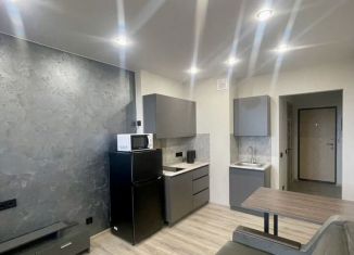 Сдача в аренду квартиры студии, 22 м2, Мурино, Воронцовский бульвар, 19к1