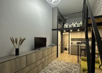 Аренда квартиры студии, 35 м2, Королёв, улица Сакко и Ванцетти, 24Б