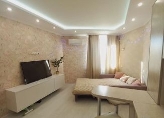 Сдача в аренду квартиры студии, 27 м2, Люберцы, Инициативная улица, 7В, ЖК Облака