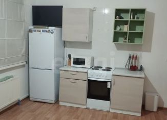 Сдача в аренду 1-ком. квартиры, 49 м2, Тобольск, 10-й микрорайон, 66