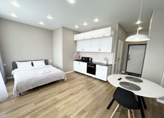 Сдается квартира студия, 28.3 м2, Республика Башкортостан, Коммунистическая улица, 98/1