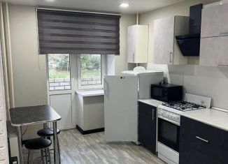 1-комнатная квартира в аренду, 40 м2, Саратов, 2-я Прокатная улица, 22А