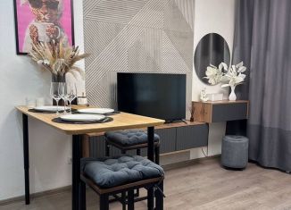 Сдам квартиру студию, 26 м2, Мурино, Воронцовский бульвар, 20к1, ЖК Гринландия-2