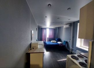 Сдается квартира студия, 30 м2, Тобольск, 15-й микрорайон, 42