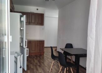 Сдается 2-комнатная квартира, 60 м2, Мурино, Скандинавский проезд, ЖК Эланд