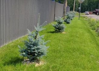 Продам земельный участок, 9.5 сот., село Луговое, Плодовая улица