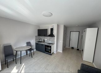 Сдам в аренду квартиру студию, 24.1 м2, Республика Башкортостан, улица Воинов-Интернационалистов, 1