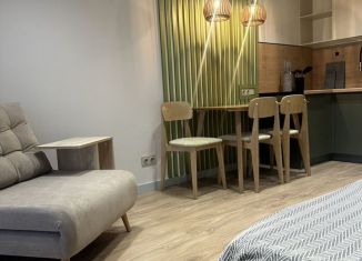 Сдаю в аренду квартиру студию, 30 м2, Сочи, улица Искры, 88, микрорайон Кудепста