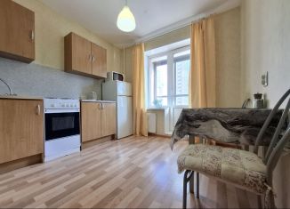 Сдача в аренду однокомнатной квартиры, 35 м2, посёлок Парголово, улица Валерия Гаврилина, 11к1