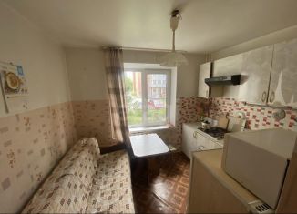 Продается 1-ком. квартира, 33 м2, Бор, улица Воровского, 62