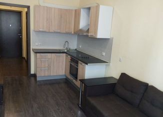 Продам квартиру студию, 24.5 м2, Мурино, Охтинская аллея, 16, ЖК Мой Город