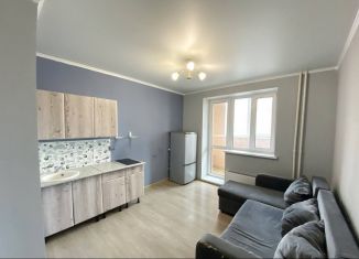 Продается квартира студия, 20 м2, Тюмень, Верхнетарманская улица, ЖК Новый Мыс 2.0