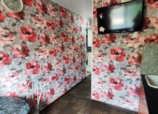 Сдается двухкомнатная квартира, 60 м2, Псков, улица Труда, 59