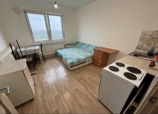 Сдаю в аренду квартиру студию, 20 м2, Санкт-Петербург, Муринская дорога, 25к1, метро Девяткино