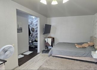 Продается однокомнатная квартира, 30 м2, Дзержинск, проспект Циолковского, 37В