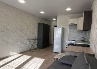 Сдается в аренду квартира студия, 25.2 м2, Республика Башкортостан, улица Игоря Талькова, 8