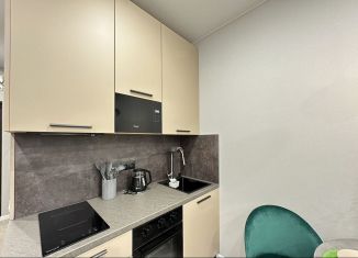 Аренда квартиры студии, 39 м2, Сочи, Ясногорская улица, 16/2к5, микрорайон Бытха