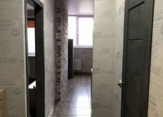 Сдается 1-ком. квартира, 36 м2, Краснодар, Старокубанская улица, 123А, микрорайон Черемушки