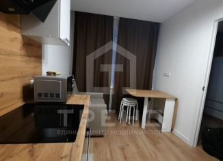 Продам квартиру студию, 26 м2, Мурино, Екатерининская улица, 3/4, ЖК Территория