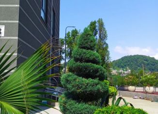 Продаю однокомнатную квартиру, 37 м2, Сочи, улица Тимирязева, 34Б, микрорайон Донская