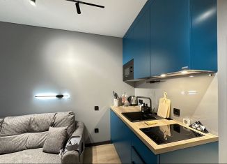 Сдается в аренду квартира студия, 17 м2, Сочи, Ясногорская улица, 16/6к3, микрорайон Бытха