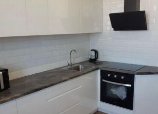 1-ком. квартира в аренду, 46 м2, Нижний Новгород, улица Маршала Баграмяна, 4, ЖК Маршал Град