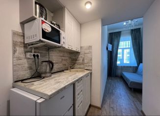 Сдам в аренду квартиру студию, 20 м2, Санкт-Петербург, Курляндская улица, 22-24