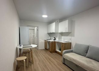 Сдается в аренду квартира студия, 22 м2, Колпино, улица Севастьянова, 32к4