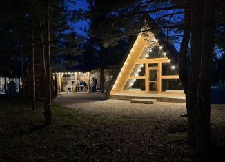 Аренда дома, 65 м2, деревня Ключи, Кедровая улица, 11