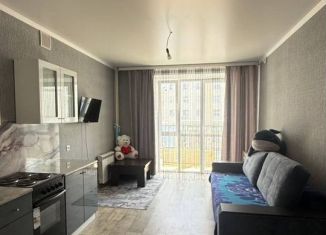 Квартира на продажу студия, 26.4 м2, село Мариинский, улица Рашита Кудашева, 3